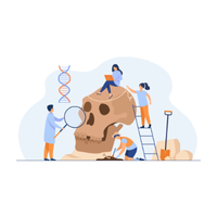 Jobs and Profession Names | Anthropologist in English