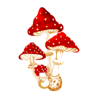 Types of Mushroom Names |Amanita in English