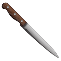 Fillet Knife in English