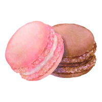 Sweets and Desserts Names| Macaroons in English