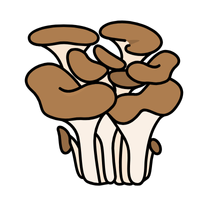 Maitake in English