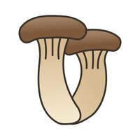 King Trumpet Mushrooms in English