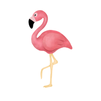 Flamingo | Birds Names in English