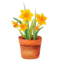 Flowerpot in English