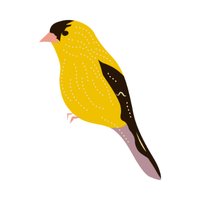 Goldfinch | Birds Names in English