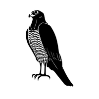 Goshawk | Birds Names in English