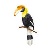 Hornbill Bird Name in English