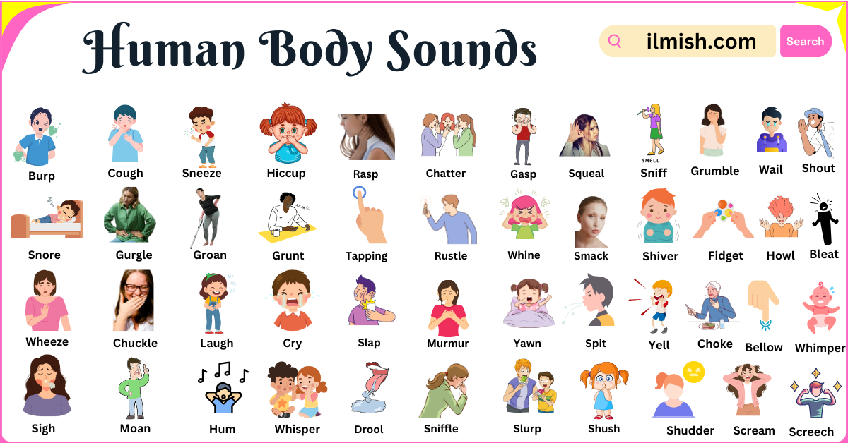 Human Body Sounds Names with Pictures in English