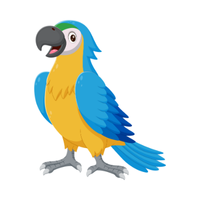 Macaw Bird Name in English