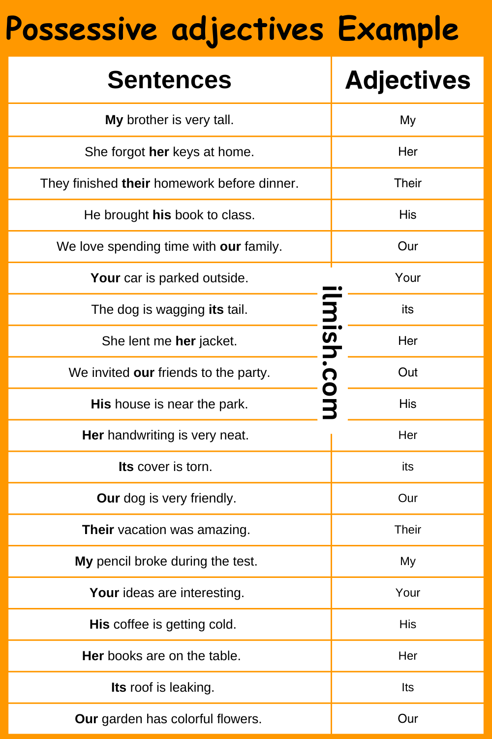 Possessive adjectives Example Sentences