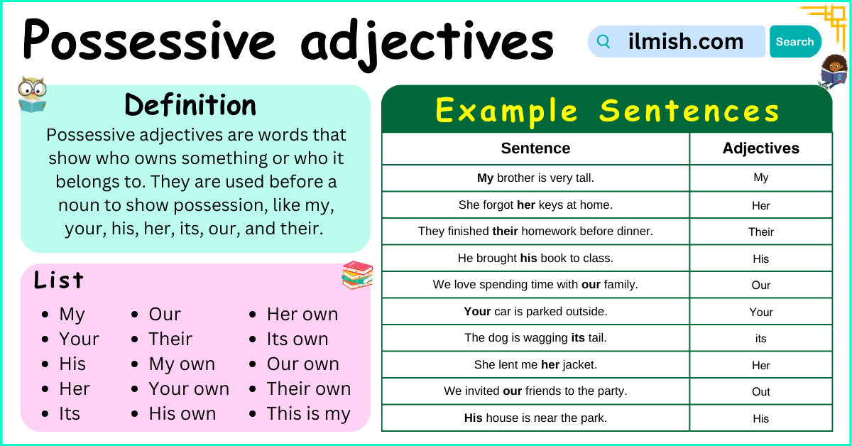 Possessive adjectives definition and Example Sentences