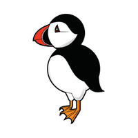 Puffin | Birds Names in English