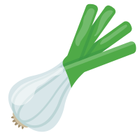 Spring Onion in English