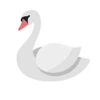 Swan Bird Name in English