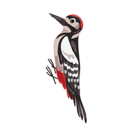 Woodpecker | Birds Names in English