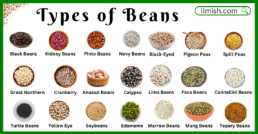 60 Types of Beans Names in English and Their Pictures