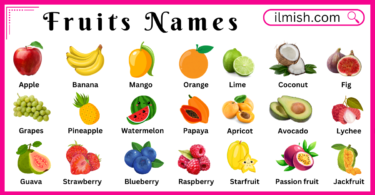 All Fruits Names in English and Their Pictures