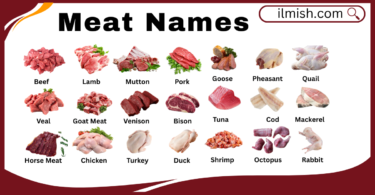 All Types of Meat Names in English with Pictures