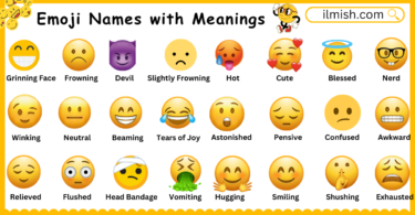 Emoji Names with Meanings in English and Their Pictures
