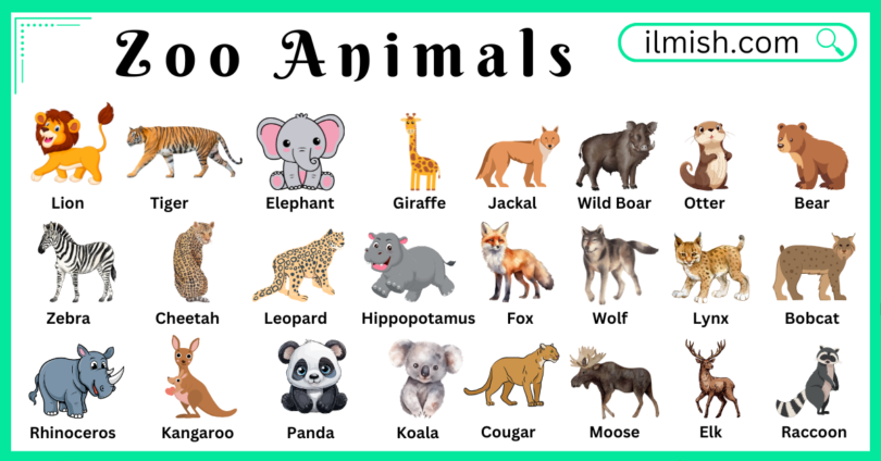 Zoo Animals Names in English with Their Pictures