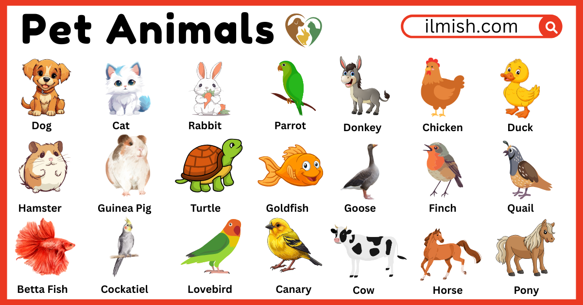 Names of Pet animals in English and their Pictures
