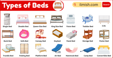 Different Types of Beds Names in English with Their Pictures