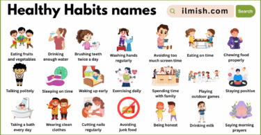 Healthy Habits Names in English with Their Pictures