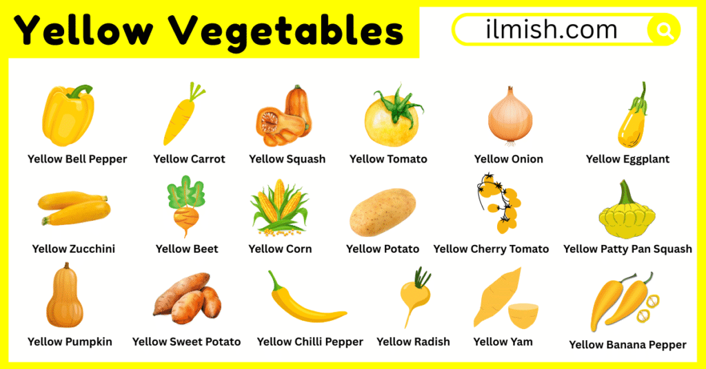 Names of Yellow Vegetables in English with Their Pictures ilmish — free download