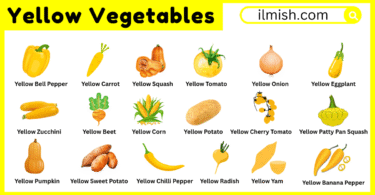 Names of Yellow Vegetables in English with Their Pictures