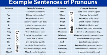 Example Sentences of Pronouns in English with Pictures