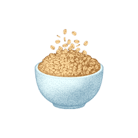Granola - Breakfast Foods Names