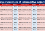 100 Example Sentences of Interrogative Adjectives in English