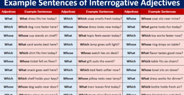 100 Example Sentences of Interrogative Adjectives in English