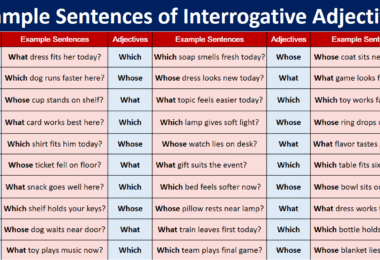 100 Example Sentences of Interrogative Adjectives in English
