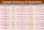 100 Example Sentences of Numeral Adjective in English