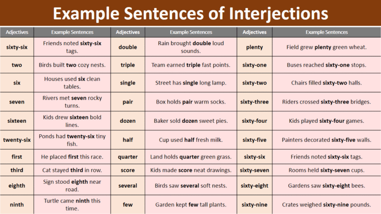 100 Example Sentences of Numeral Adjective in English