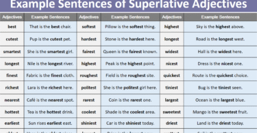 100 Example Sentences of Superlative Adjectives in English