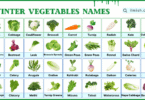 60 Names of Winter Vegetables in English with Their Pictures