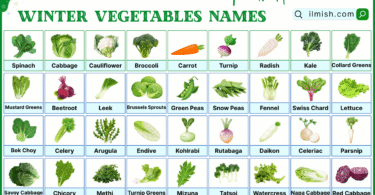 60 Names of Winter Vegetables in English with Their Pictures