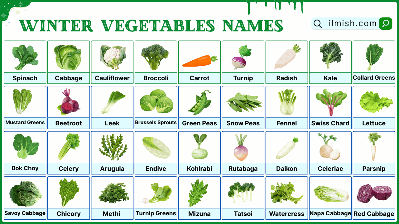 60 Names of Winter Vegetables in English with Their Pictures