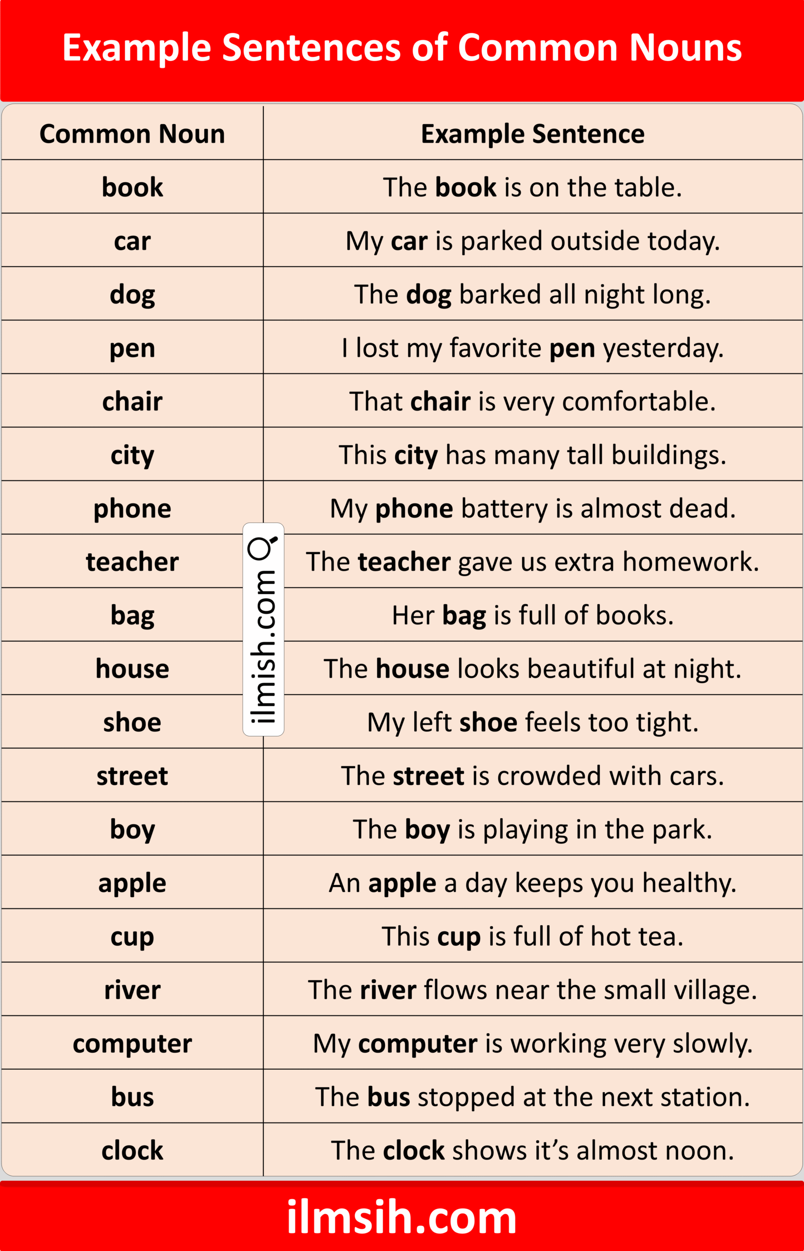Common Nouns with Example Sentences in English