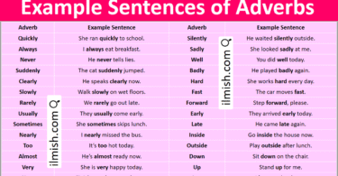 Example Sentences of Adverbs in English with Pictures