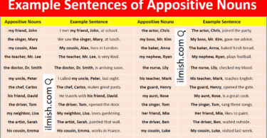 Example Sentences of Appositive Nouns in English with Pictures