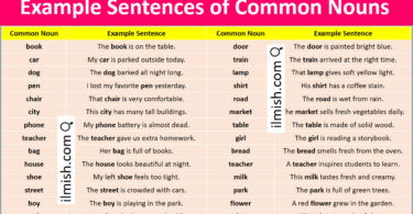 Example Sentences of Common Nouns in English with Pictures