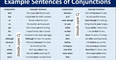 Example Sentences of Conjunctions in English with Pictures