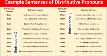 Example Sentences of Distributive Pronouns in English with Pictures