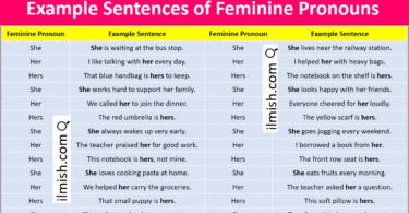 Example Sentences of Feminine Pronouns in English and Pictures