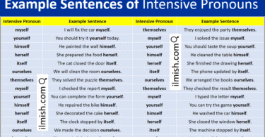 Example Sentences of Intensive Pronouns in English and Pictures