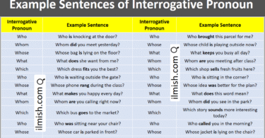 Example Sentences of Interrogative Pronouns in English and Pictures