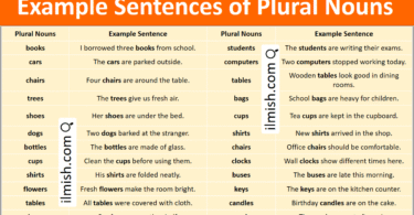 Example Sentences of Plural Nouns in English with Pictures